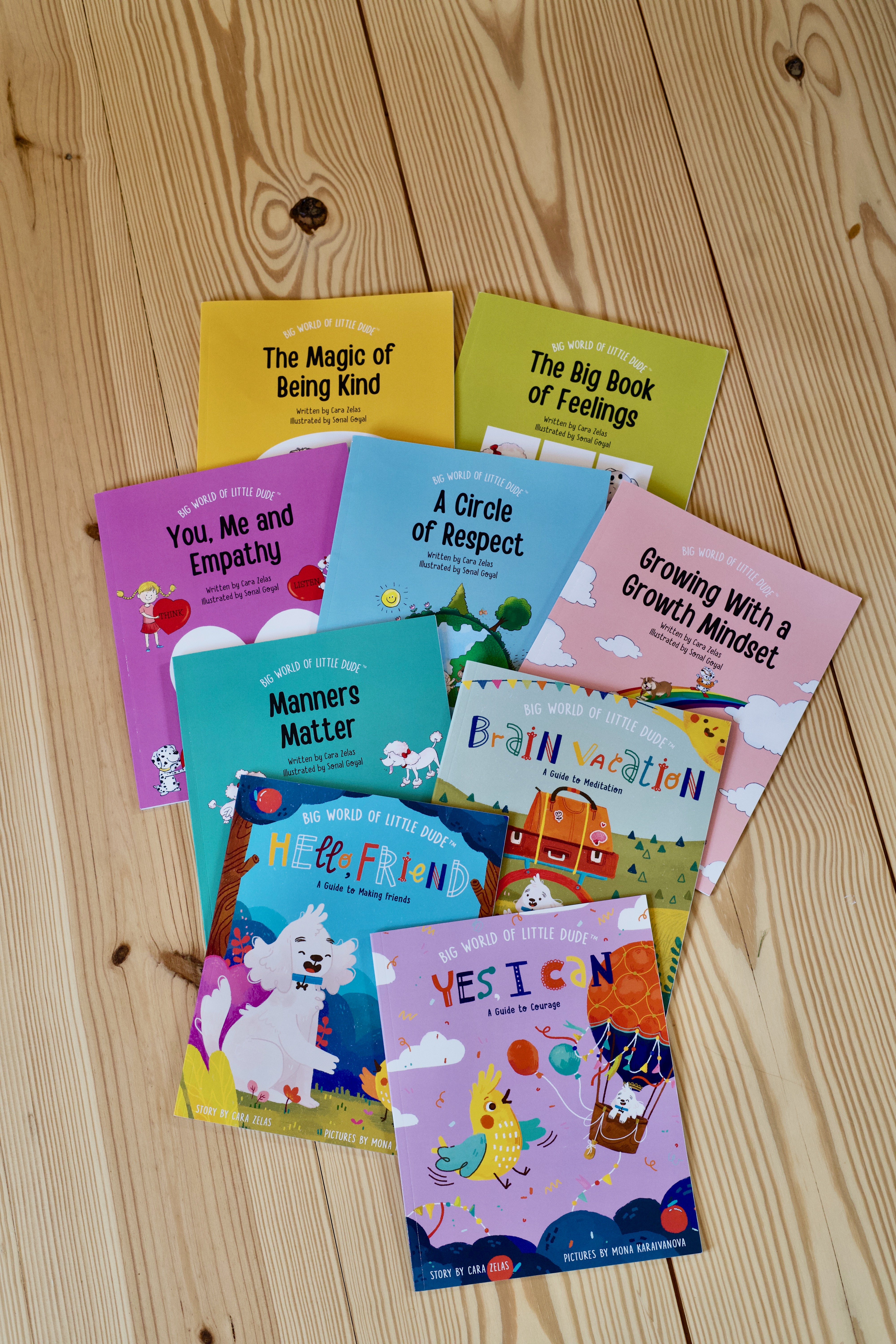 Little Dude with the Big World of Little Dude book collection