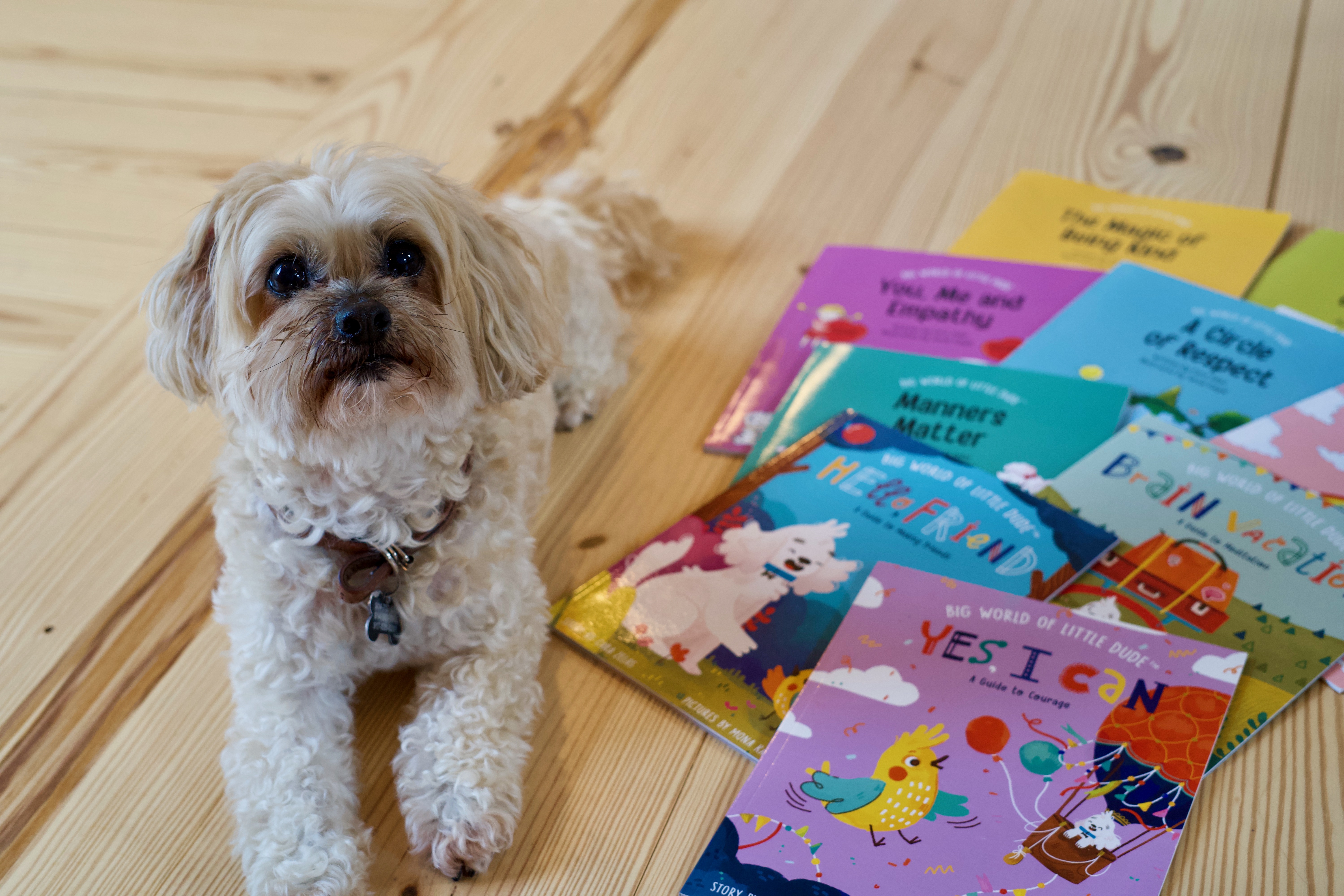 The nine Big World of Little Dude books